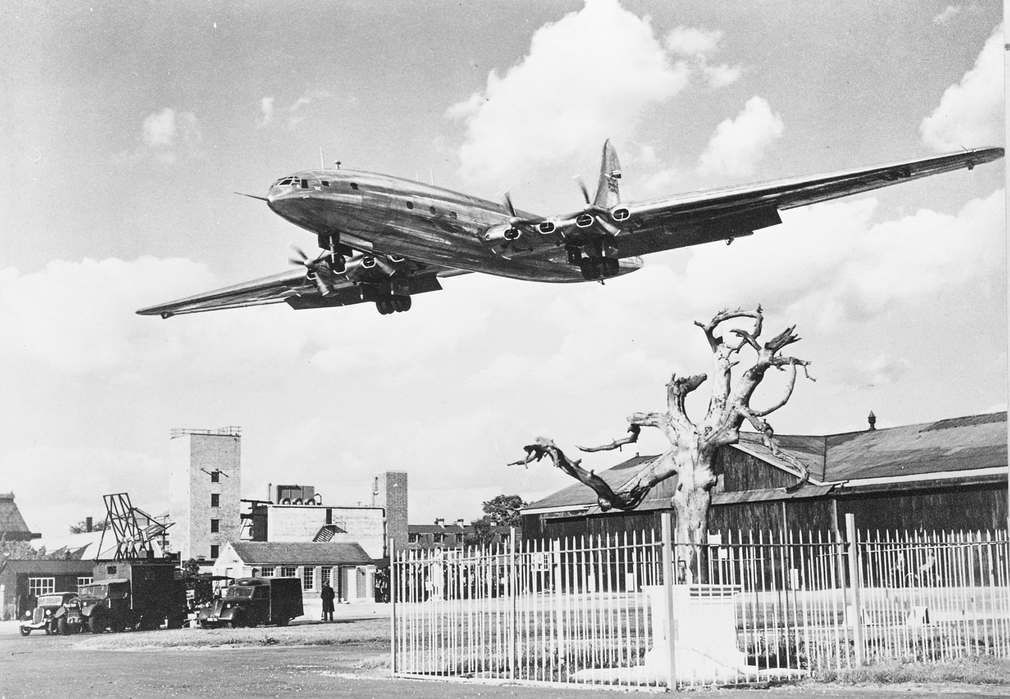 Bristol 167 Brabazon. Aircraft landing over Cody's Tree at SBAC Farnborough, 1949.
