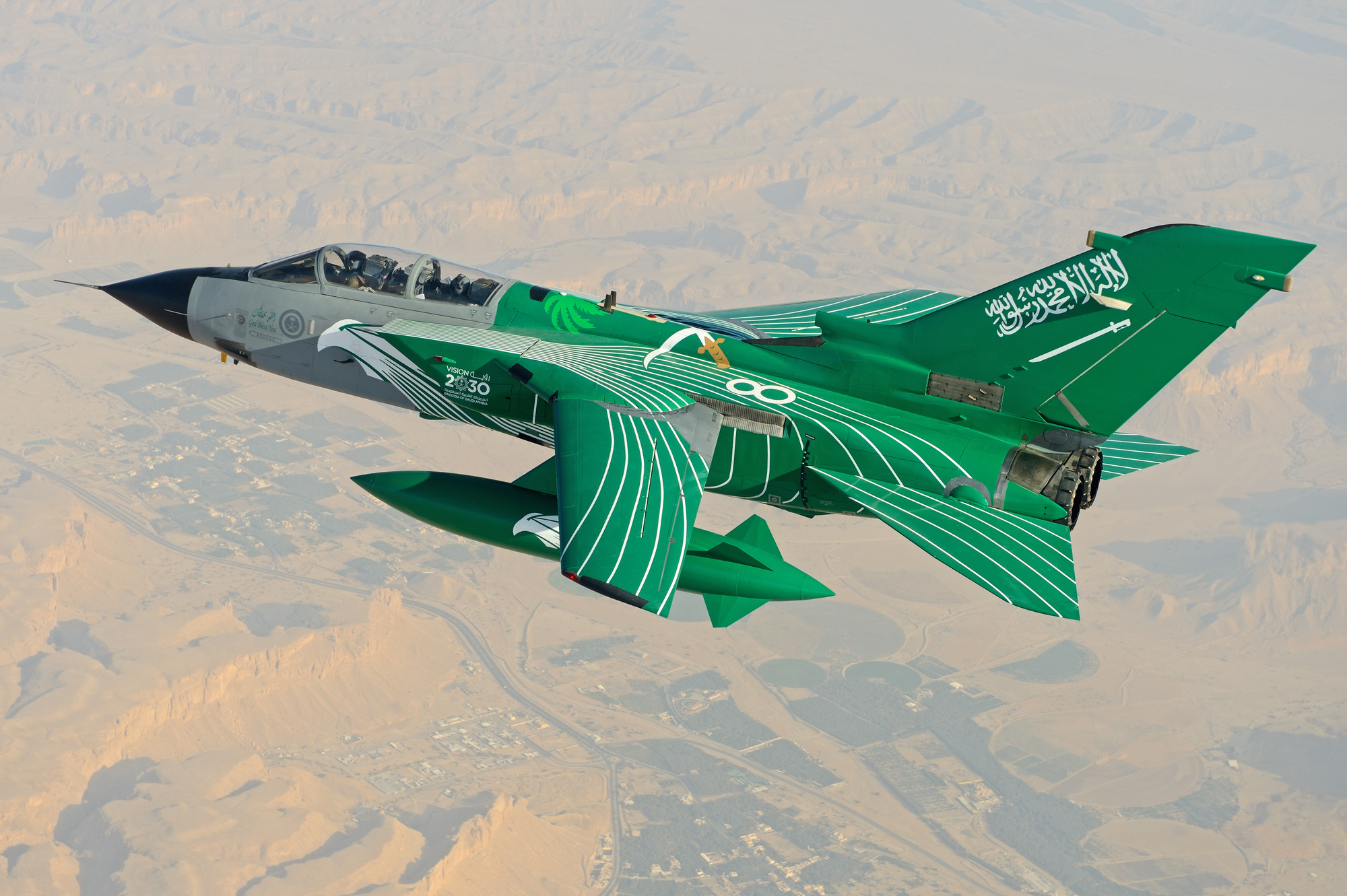 Image of RSAF Tornado with Saudi National Day livery