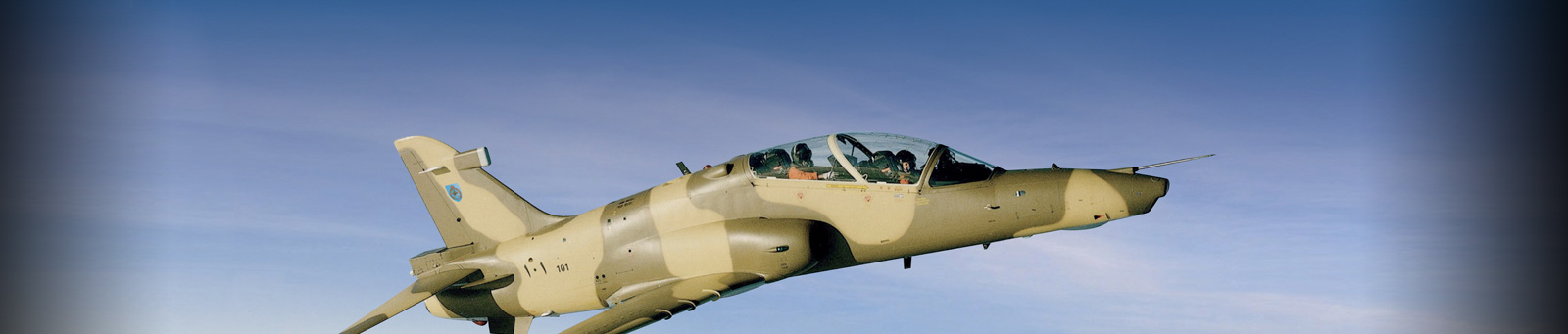 Hawk - Sultanate of Oman Banner