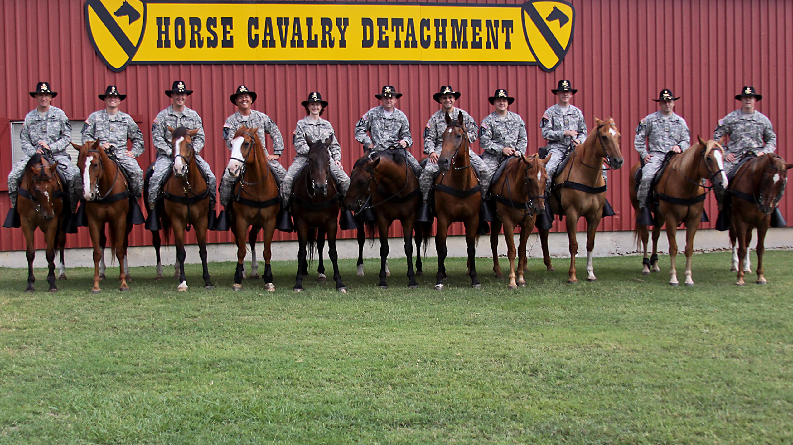 Vol. 43 - Battle Tested - c