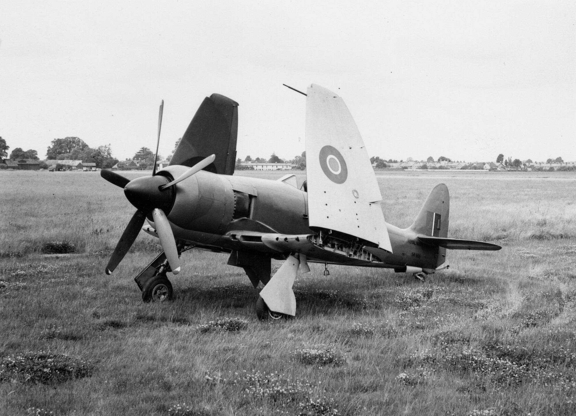 Hawker Sea Fury - SR666, ground view at Langley with wings folded.