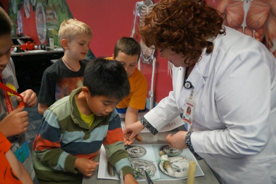 Supporting STEM education