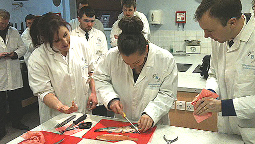 Jenny Westworth swaps jobs with Skills Minister