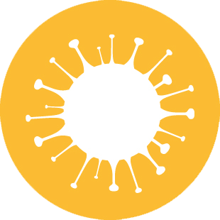 Covid memories icon