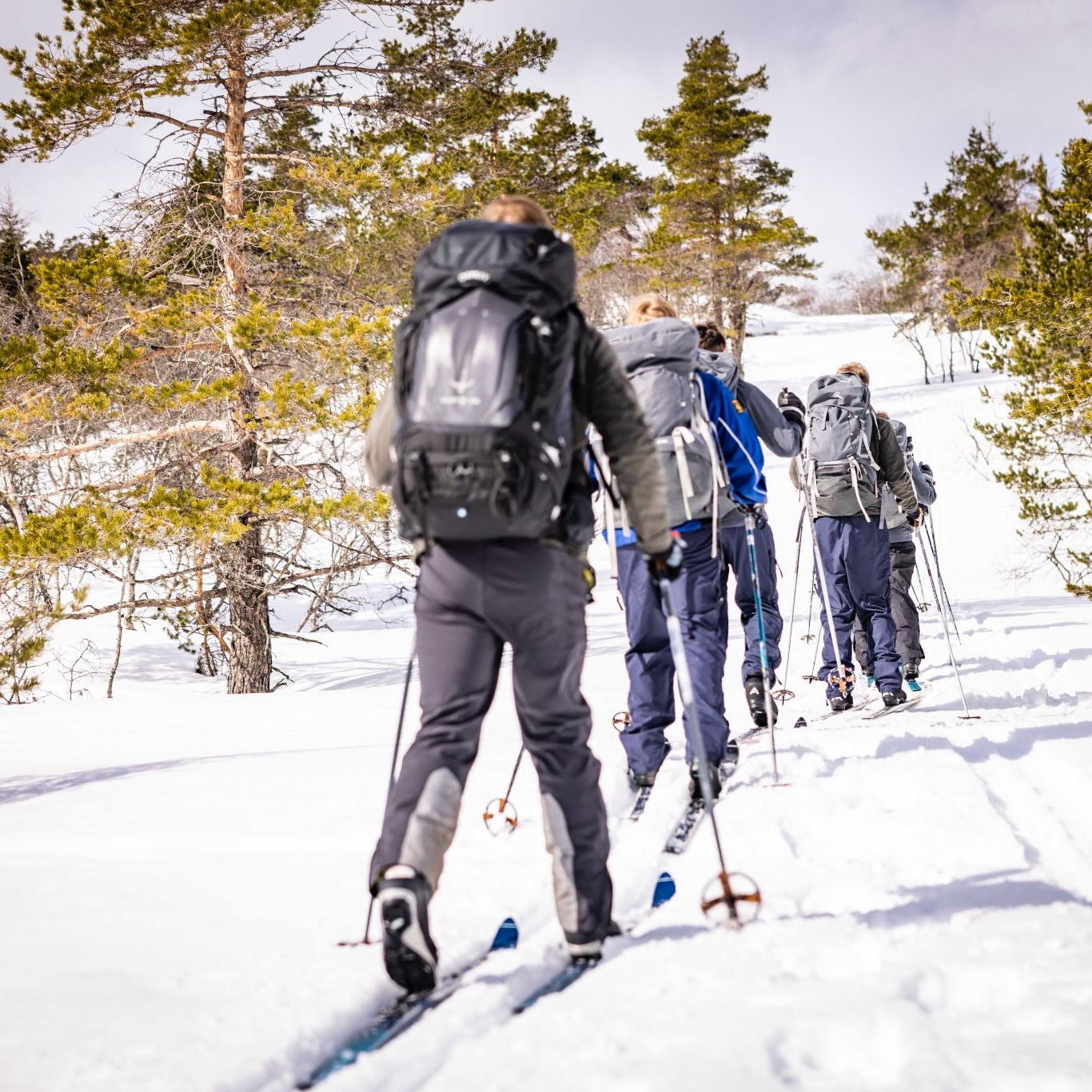 Cadet Force Adult Volunteers