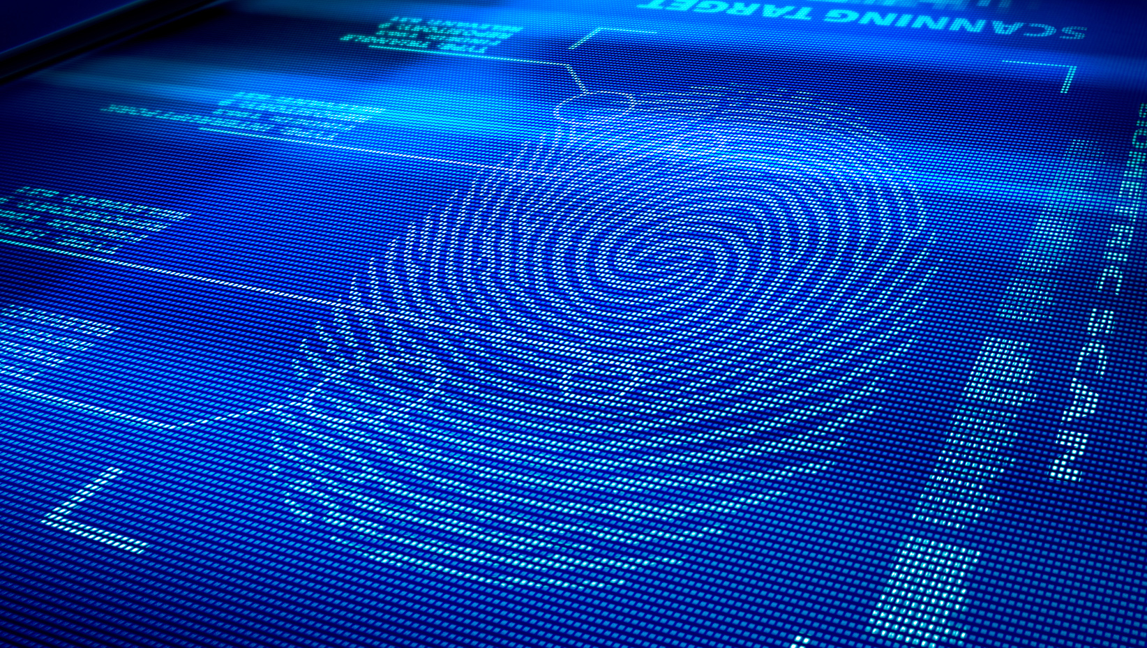 fingerprint biometrics