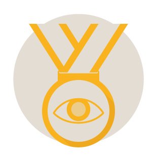 Looking to the future icon