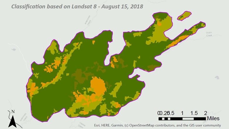 Classification based on Landsat 8 - August 15, 2018