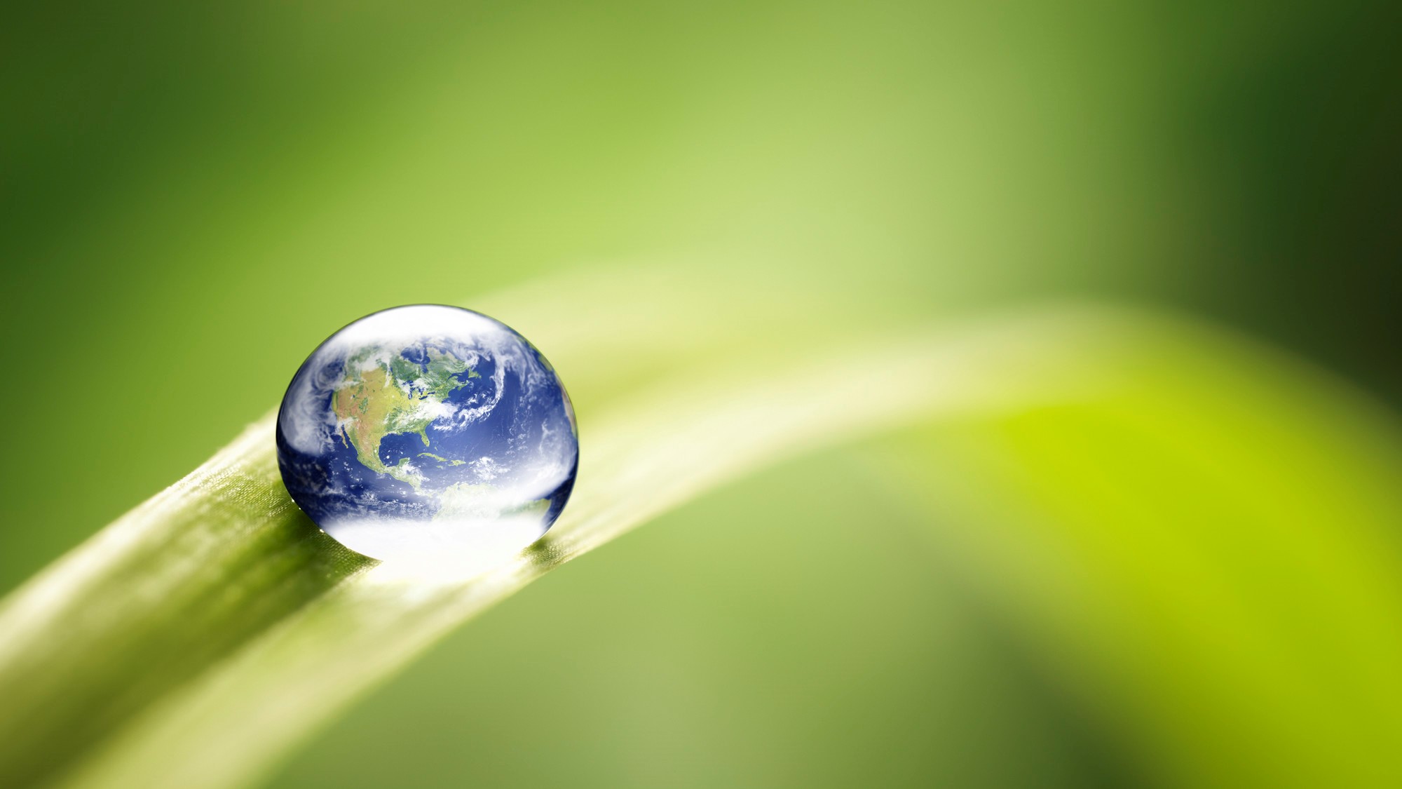 Blade of grass with earth reflected in raindrop