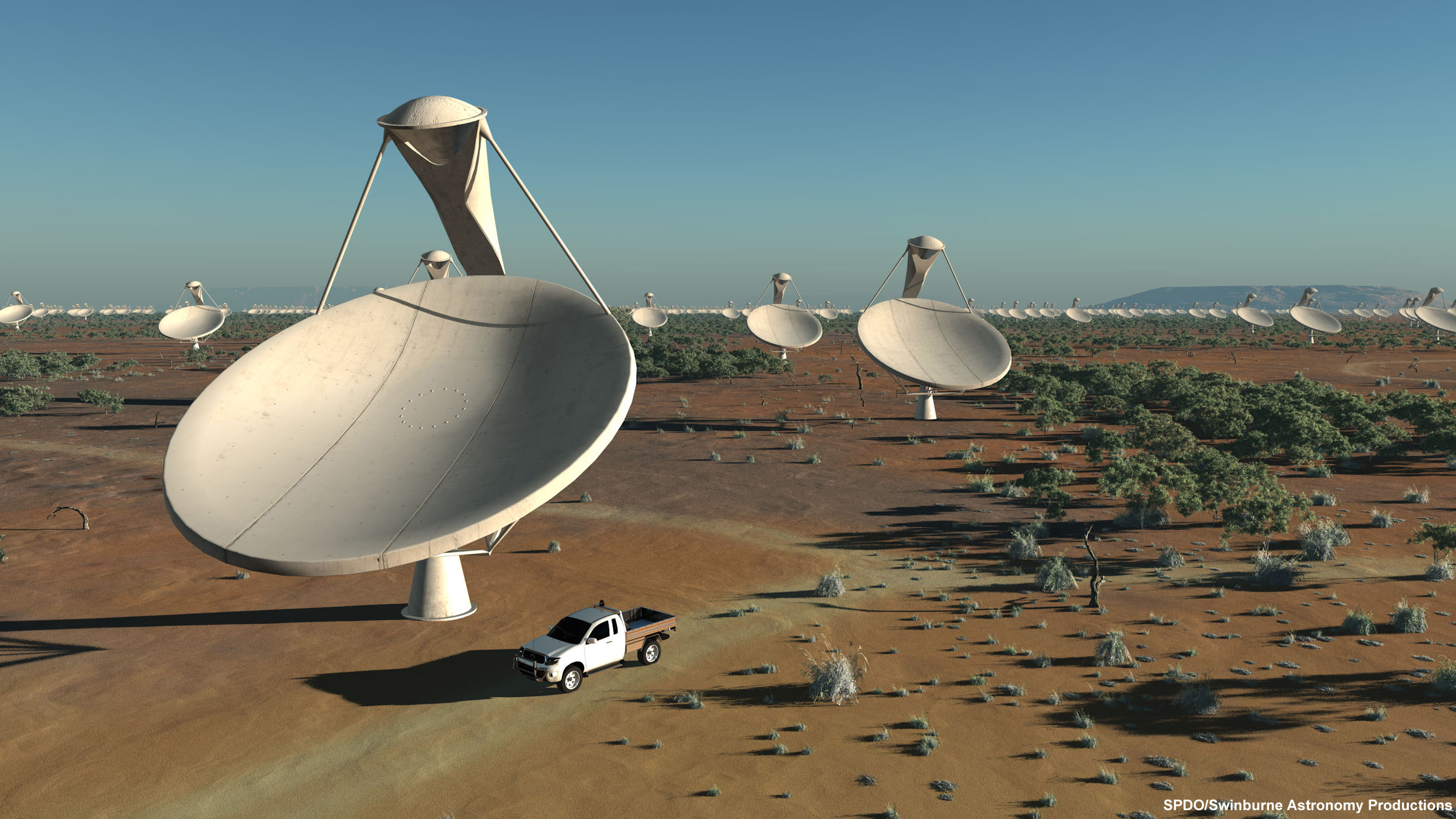 Artist's impression of the SKA dishes