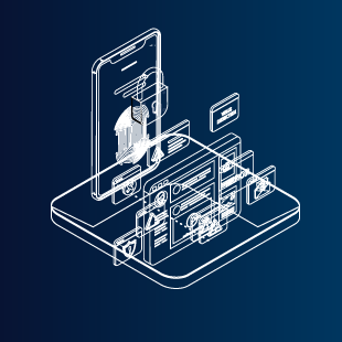 Launching Vision to Tackle Cyber Fraud