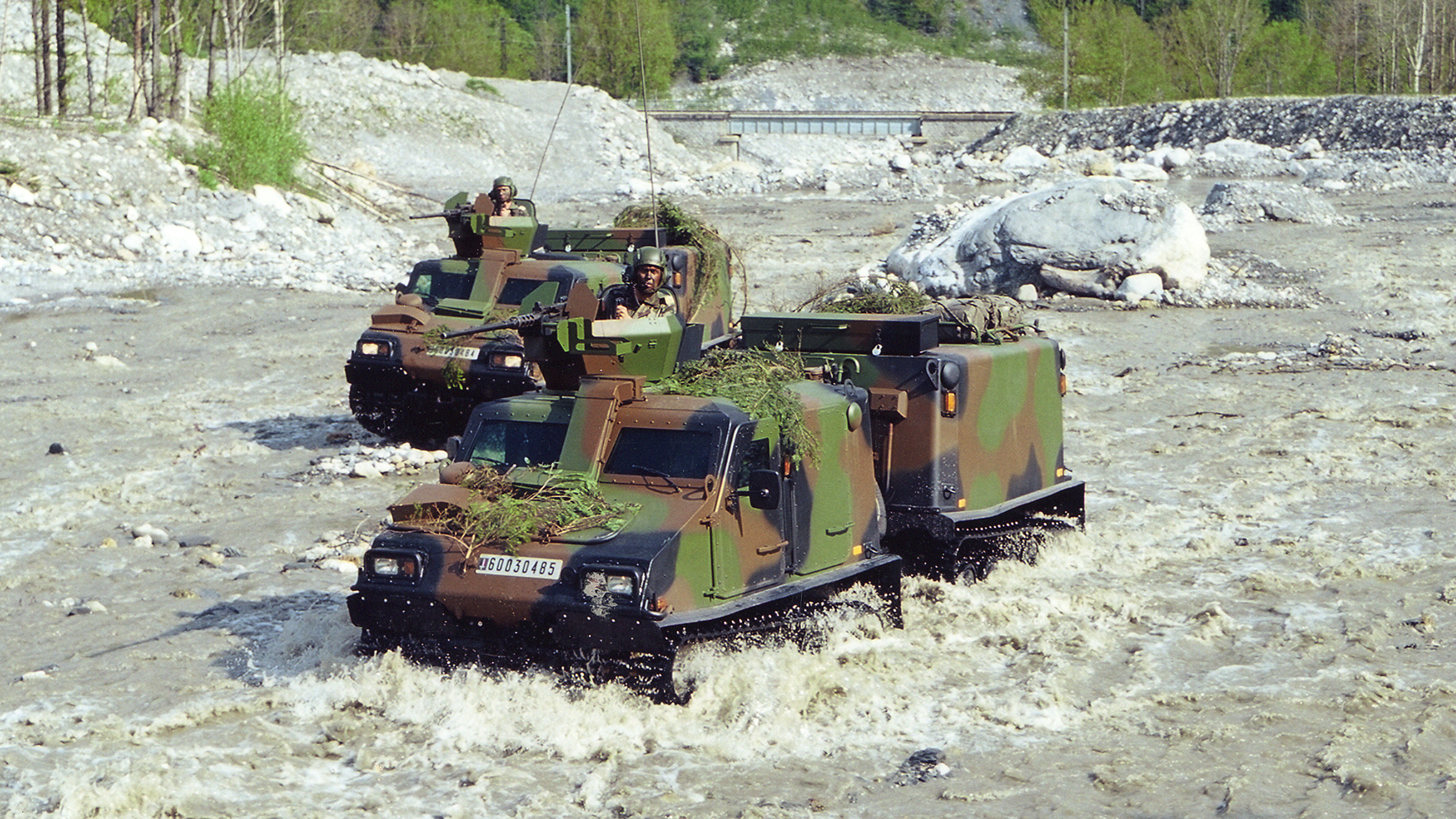 Bv206