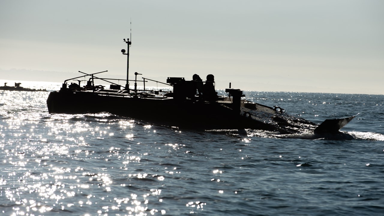 ACV swimming in Pacific Ocean
