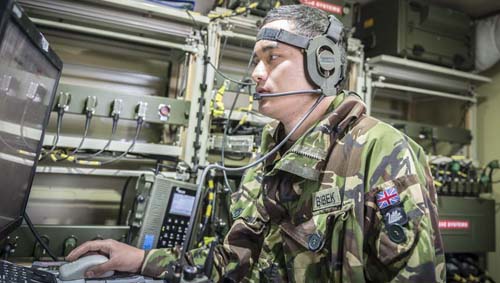 Falcon delivering information