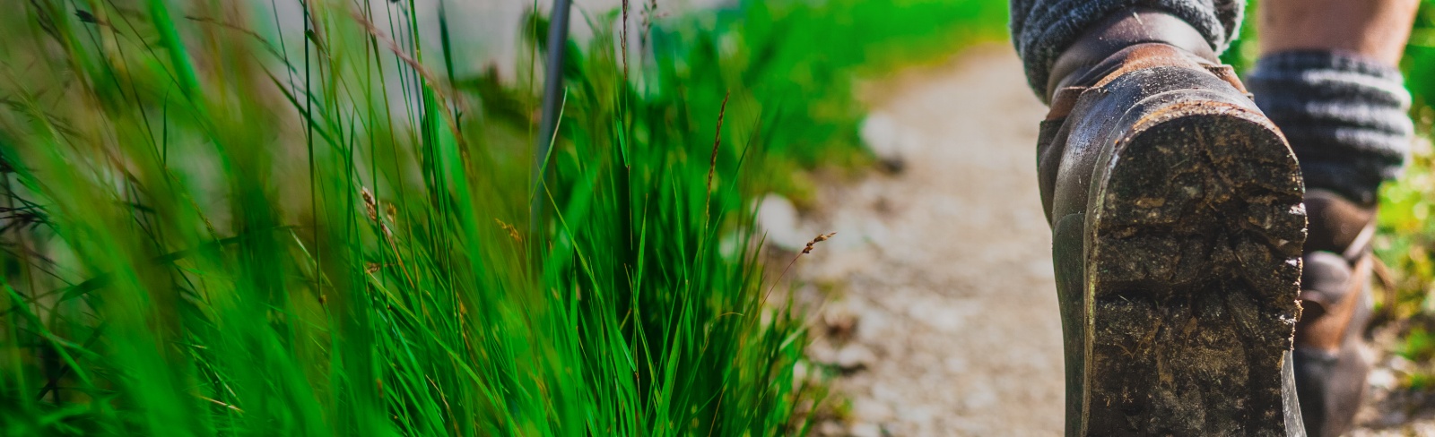 Image - WYWM Luke Banner