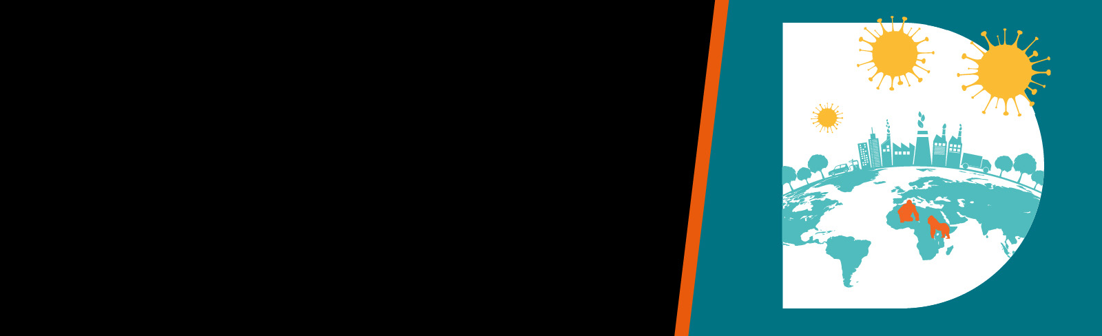Client Conversation: Delivering a clean bill of data health