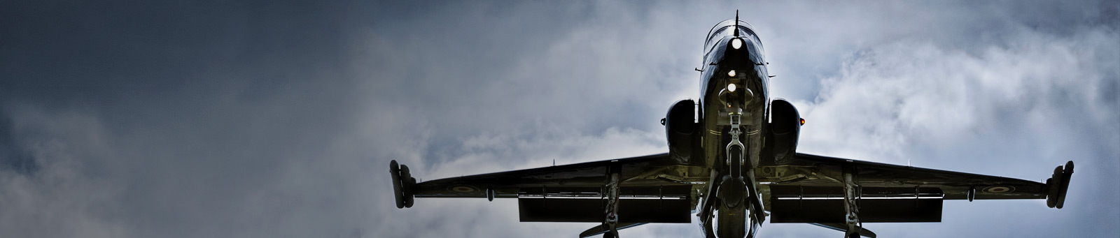 Hawk at our Warton site