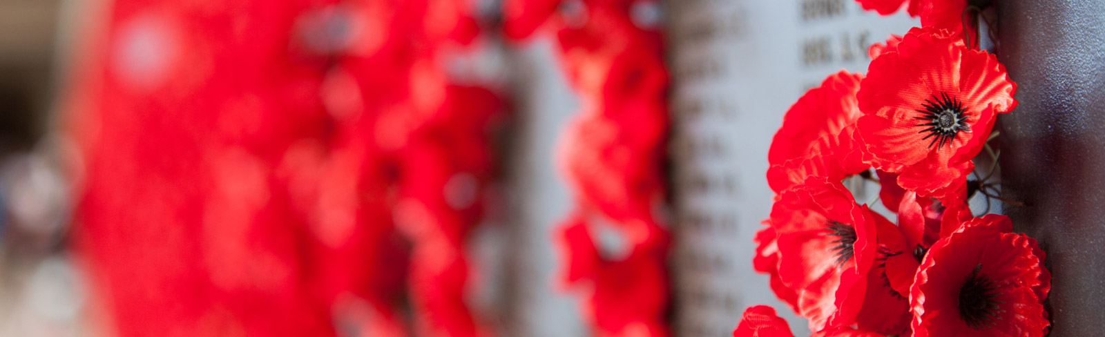 ANZAC Poppies