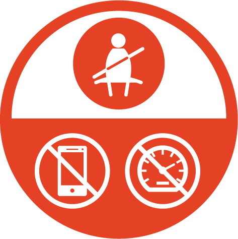 RS132780_BAE_H_S_Icons__Orange_v3_Driving