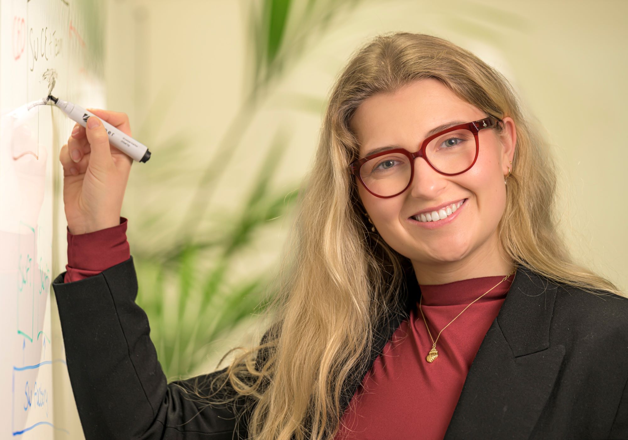 Cara software engineer