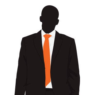 The Unusual Suspects: The Professional 2020