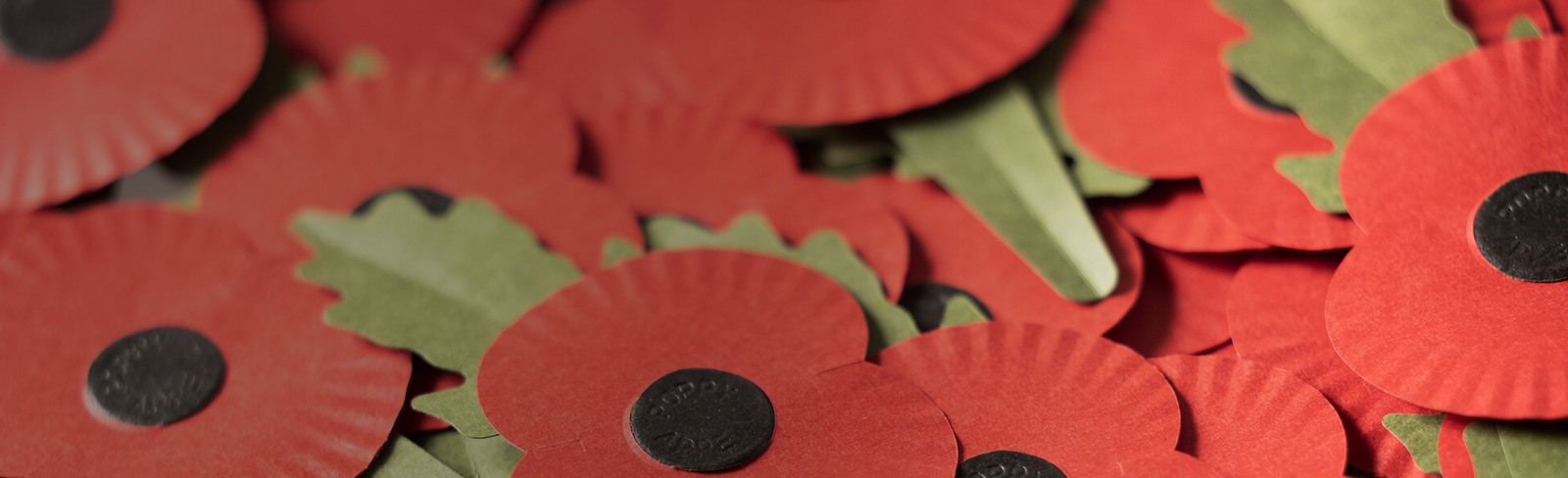 Kates with service dogs