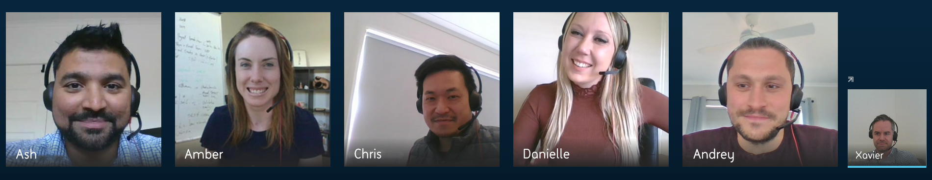 All team is attending ia Skype Call