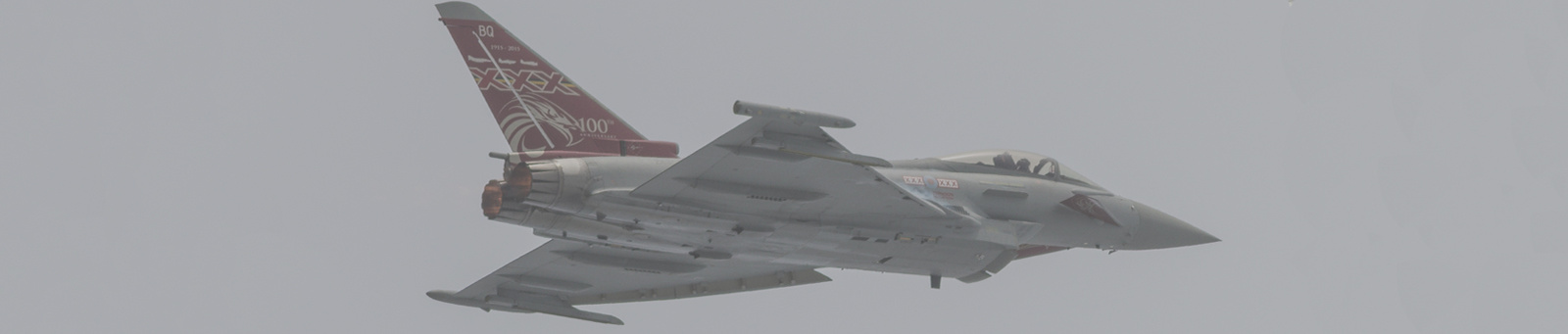 The 2015 Typhoon display pilot