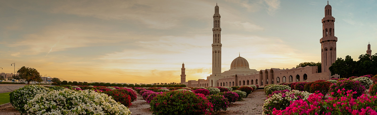 Image of Oman skyline