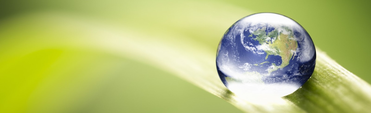 Blade of grass with globe reflected in a rain drop