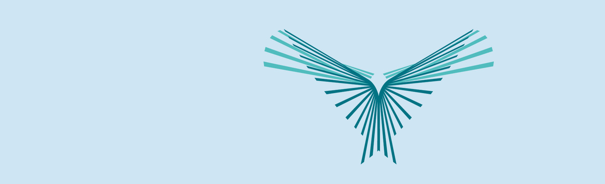 FalconWorks logo banner image