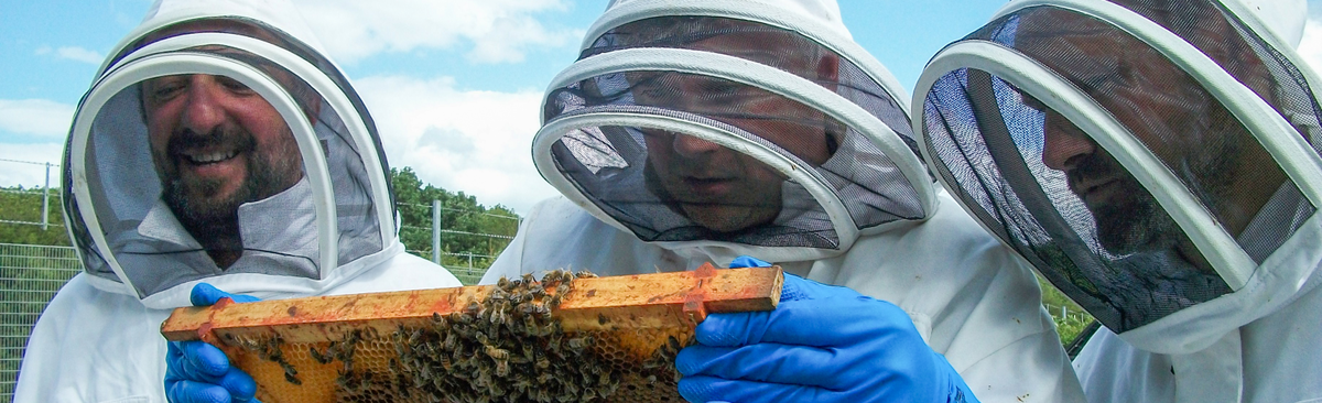 Samlesbury bee hive volunteers