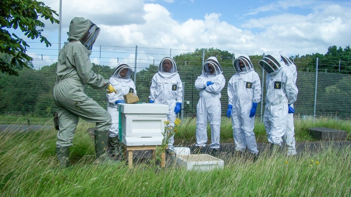 The Bee Centre sharing knowledge with BAE Systems newest apiarists The Bee Centre sharing knowledge with BAE Systems newest apiarists